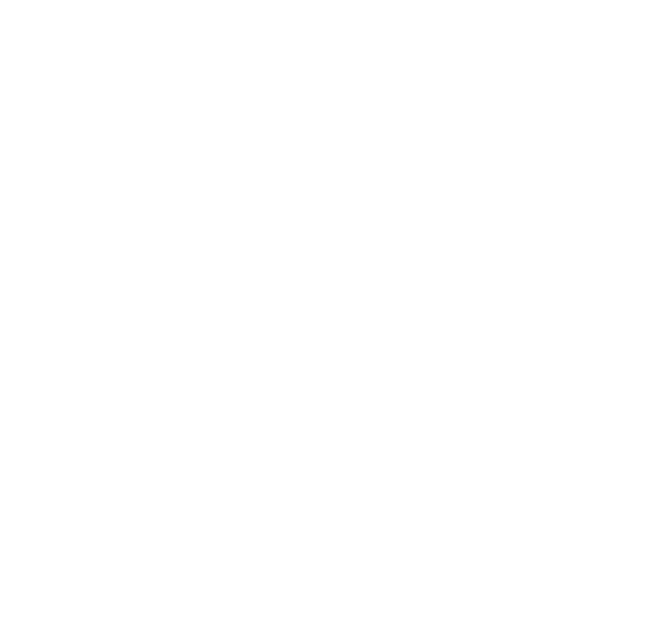 昔ながらの江戸前寿司をほしつきで