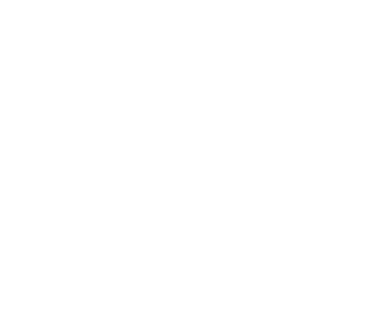 厳選米