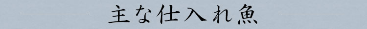 主な仕入れ魚